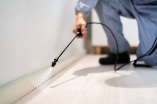 Certified termite inspector examining foundation in Flat Rock